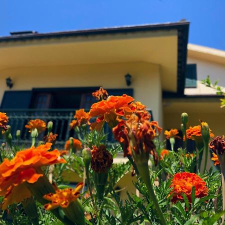 فيلا Casa Sao Simao بارسيلوس المظهر الخارجي الصورة